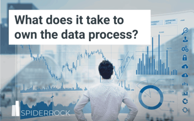 What is the total cost of owning your data process?