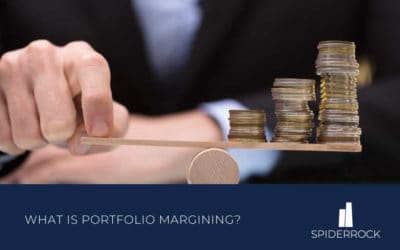 What is Portfolio Margining?