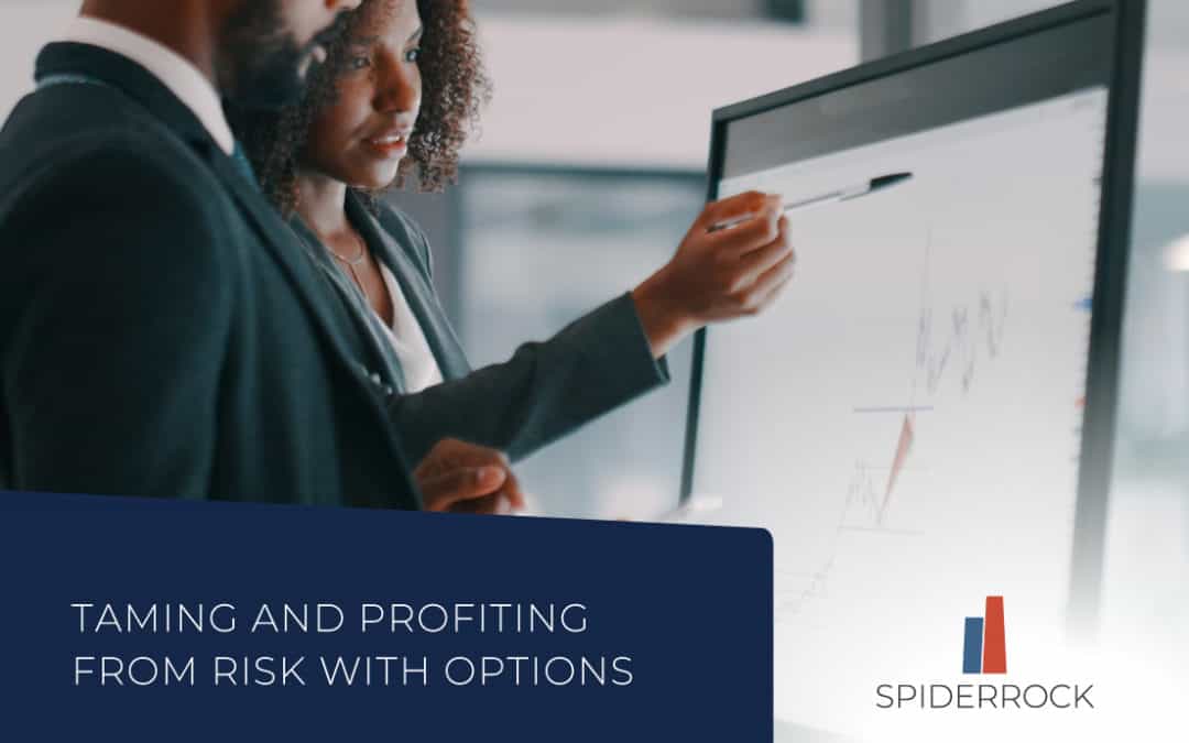 How to Tame and Profit from Risk with Options